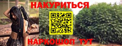 дмт Пенза